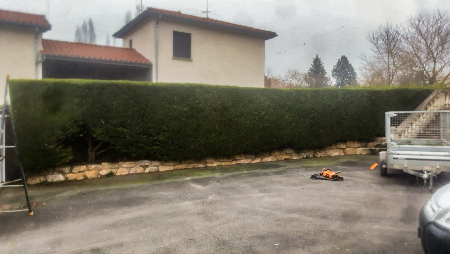 réalisation avant élagage au parc de la Ville